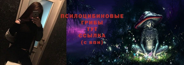 мет Белокуриха