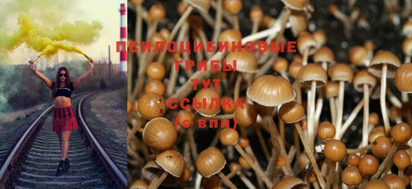 мет Белокуриха